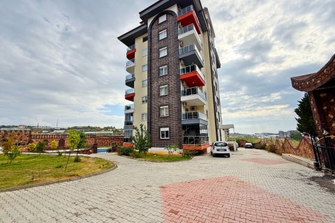 Apartment for rent  in Alanya, Antalya, Turkey, 1 bedroom, 65m2, No. 216519 – photo 12