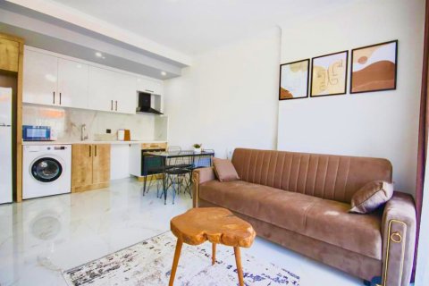 1+1 Wohnung  in Alanya, Antalya, Türkei Nr. 228354