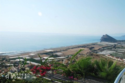 1+1 Wohnung in Alanya, Antalya, Türkei Nr. 233244 - 10