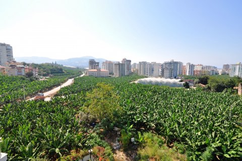 1+1 Lejlighed i Euro Residence 16, Mahmutlar, Antalya, Tyrkiet Nr. 97008 - 11