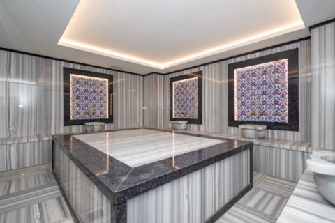 1+1 Wohnung  in Antalya, Türkei Nr. 222756 - 13