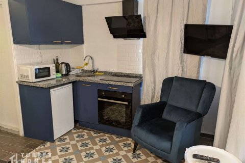 ملک تجاری در Istanbul ، ترکیه 168 متر مربع. شماره 232996 - 12