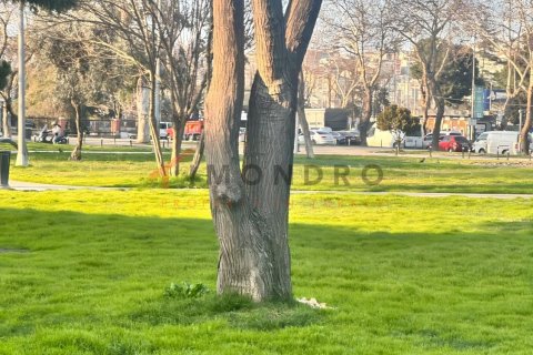Продажа квартиры в Фатихе, Стамбуле, Турция 1+5, 220м2, №237876 – фото 23