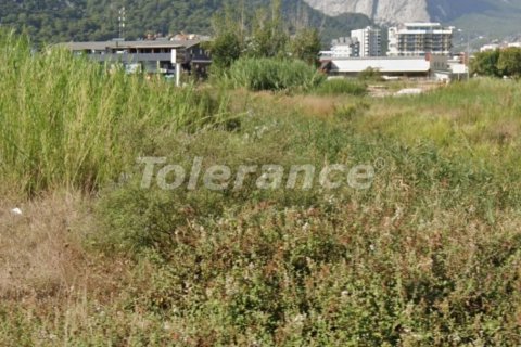 Продажа земельного участка в Анталье, Турция, 2214м2, №219931 – фото 2