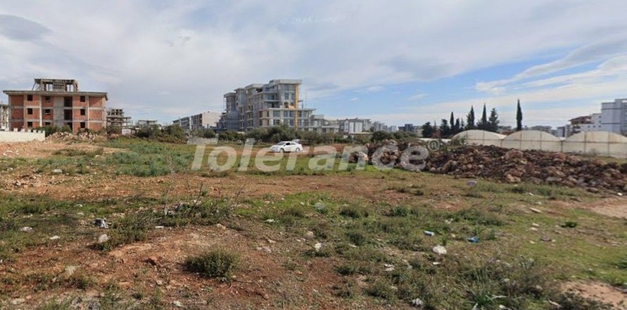 Arsa   Antalya, Türkiye №219932