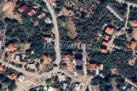 Tom  i Antalya, Tyrkiet Nr. 219930