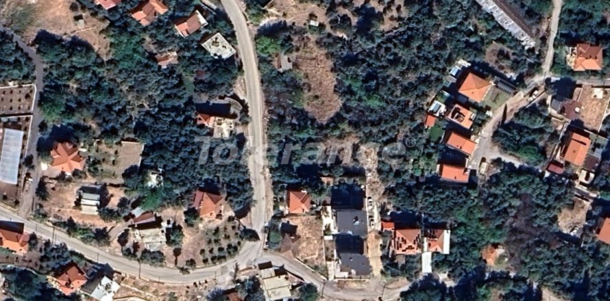 Tom  i Antalya, Tyrkiet Nr. 219930