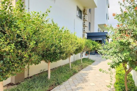 1+1 Lejlighed  i Alanya, Antalya, Tyrkiet Nr. 216534 - 23