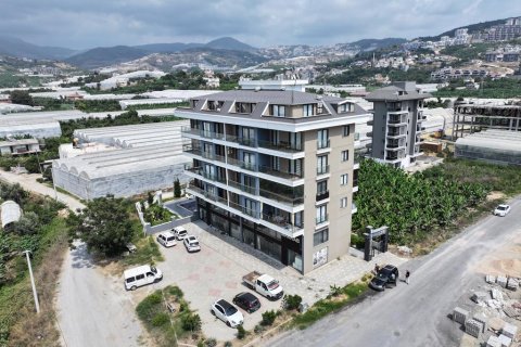 1+1 Lejlighed  i Alanya, Antalya, Tyrkiet Nr. 216534 - 6