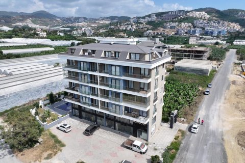 1+1 Lejlighed  i Alanya, Antalya, Tyrkiet Nr. 216534 - 9