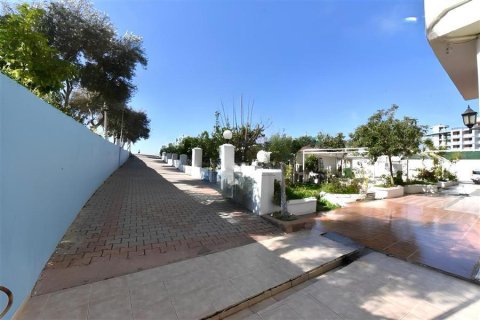 1+1 Lejlighed  i Alanya, Antalya, Tyrkiet Nr. 216533 - 25