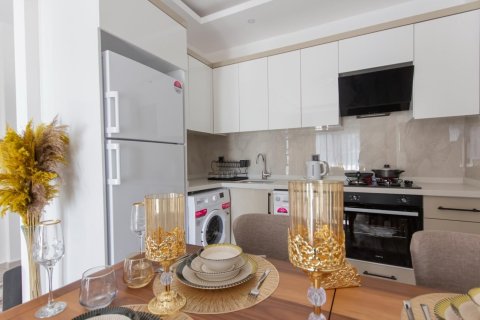 1+1 Wohnung  in Alanya, Antalya, Türkei Nr. 216530 - 6