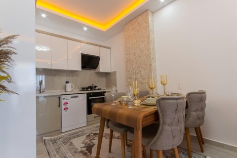 1+1 Wohnung  in Alanya, Antalya, Türkei Nr. 216530 - 5