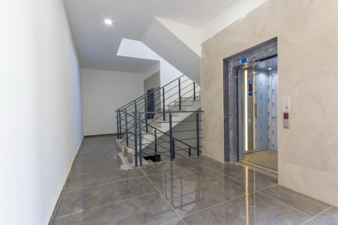 1+1 Wohnung  in Alanya, Antalya, Türkei Nr. 216530 - 20