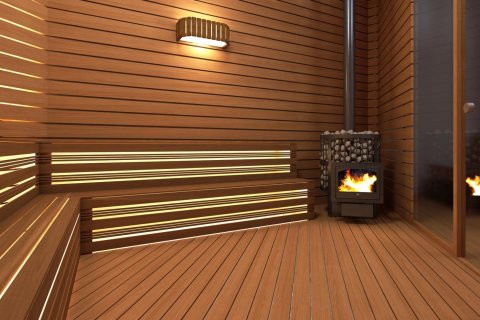 1+1 Wohnung  in Alanya, Antalya, Türkei Nr. 216530 - 24