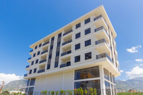 1+1 Wohnung  in Alanya, Antalya, Türkei Nr. 216530 - 17