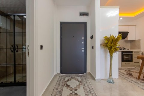 1+1 Wohnung  in Alanya, Antalya, Türkei Nr. 216530 - 26