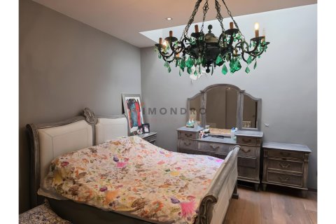 3+1 Villa i Sariyer, Istanbul, istanbul, Turkiet Nr. 225255 - 12