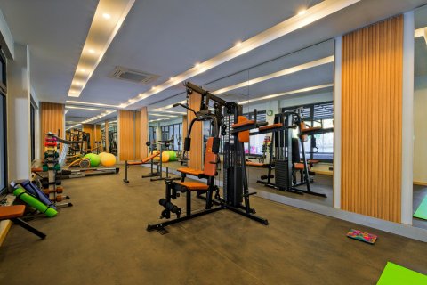 1+1 Wohnung  in Kestel, Antalya, Türkei Nr. 218319 - 16