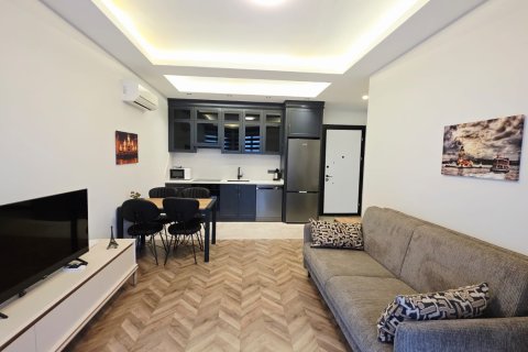 Tom  i Alanya, Antalya, Tyrkiet Nr. 214798 - 14