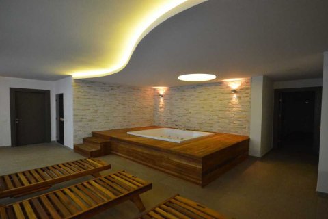 1+1 Lejlighed i Kestel, Antalya, Tyrkiet Nr. 228589 - 24