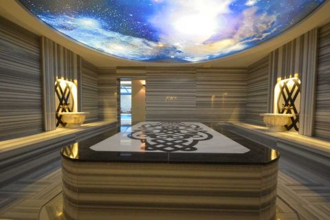 1+1 Lejlighed i Kestel, Antalya, Tyrkiet Nr. 228589 - 23