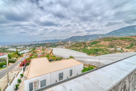 ویلا در  Alanya ، ترکیه 4 خوابه ، 559 متر مربع.  شماره 222322 - 14