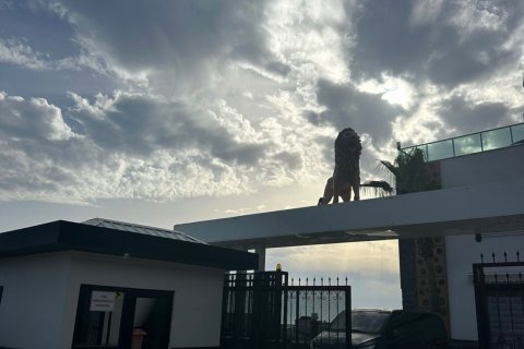 ویلا در  Alanya ، ترکیه 8 خوابه ، 565 متر مربع.  شماره 222323 - 14