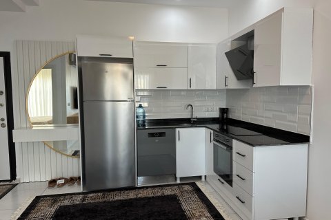 Аренда квартиры в Аланье, Анталье, Турция 1+1, 50м2, №216895 – фото 14