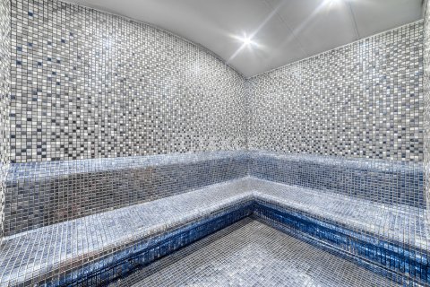 3+1 Penthouse  i Alanya, Antalya, Tyrkiet Nr. 221248 - 23