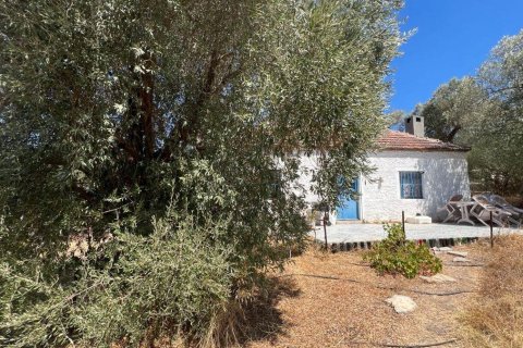 1+1 Villa  i Bodrum, Mugla, Tyrkiet Nr. 215937 - 11