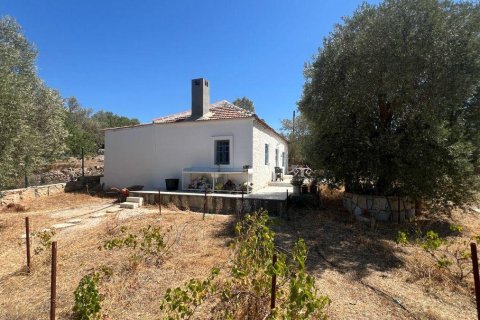 1+1 Villa  i Bodrum, Mugla, Tyrkiet Nr. 215937 - 10