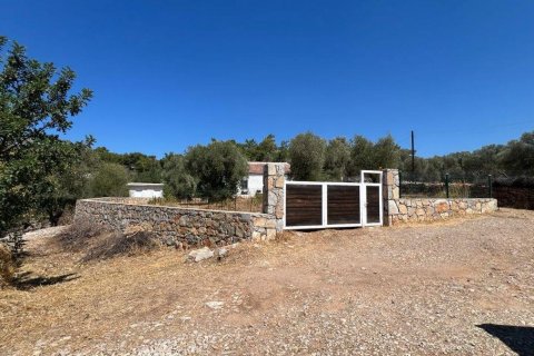 1+1 Villa  i Bodrum, Mugla, Tyrkiet Nr. 215937 - 13