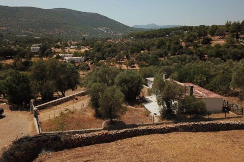 1+1 Villa  i Bodrum, Mugla, Tyrkiet Nr. 215937 - 15