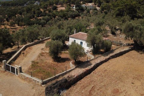 1+1 Villa  i Bodrum, Mugla, Tyrkiet Nr. 215937 - 14