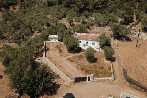1+1 Villa  i Bodrum, Mugla, Tyrkiet Nr. 215937 - 20