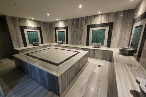 1+1 Leilighet  i Alanya, Antalya, Tyrkia Nr. 218794 - 12