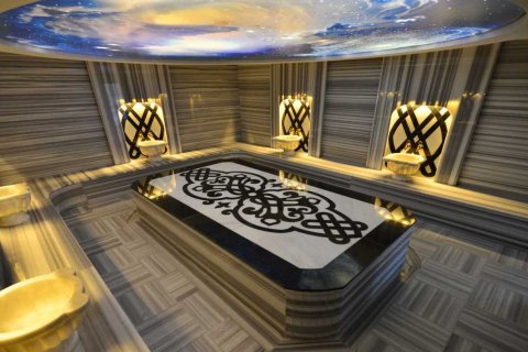 1+1 Wohnung  in Kestel, Schleimbeutel, Türkei Nr. 217392 - 17