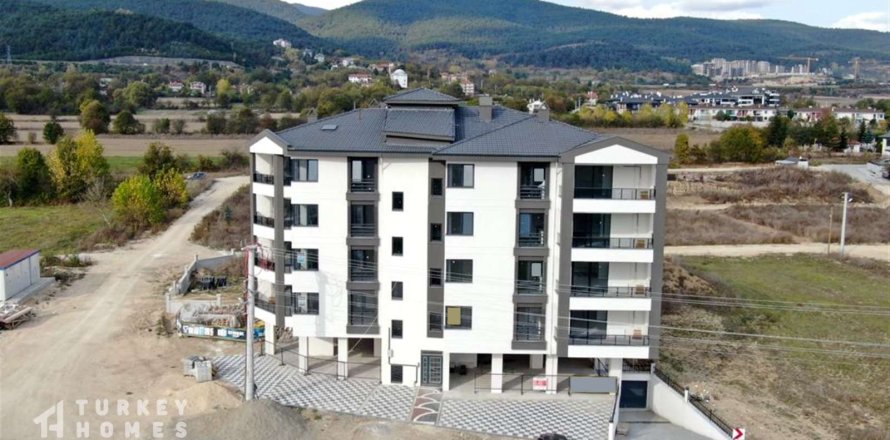 4+1 Wohnung in Bolu, Türkei Nr. 233368