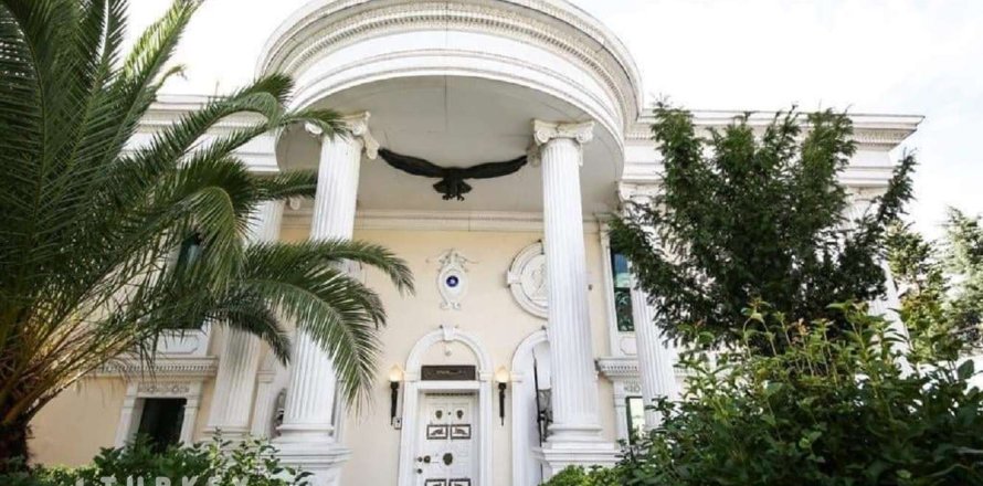 Villa  8+1  İstanbul, Türkiye №233370
