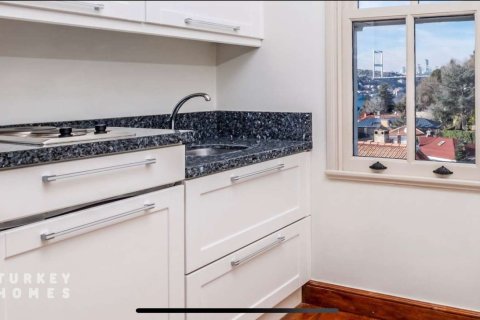 4+1 Villa i Istanbul, istanbul, Turkiet Nr. 233369 - 8