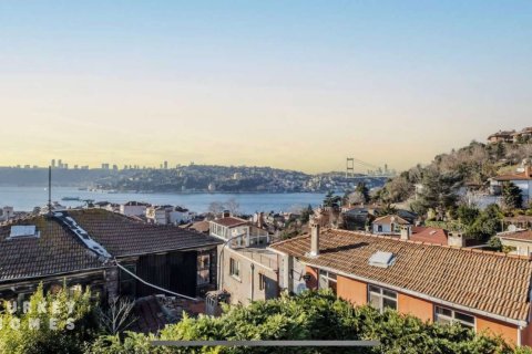 4+1 Villa i Istanbul, istanbul, Turkiet Nr. 233369 - 22