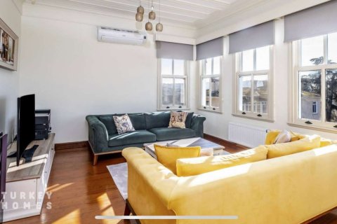 4+1 Villa i Istanbul, istanbul, Turkiet Nr. 233369 - 3
