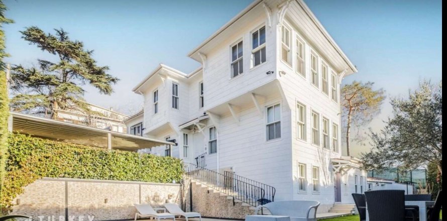 4+1 Villa i Istanbul, istanbul, Turkiet Nr. 233369