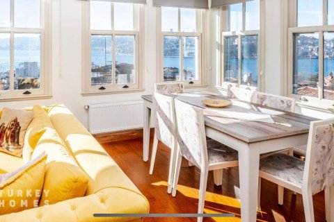 4+1 Villa i Istanbul, istanbul, Turkiet Nr. 233369 - 5