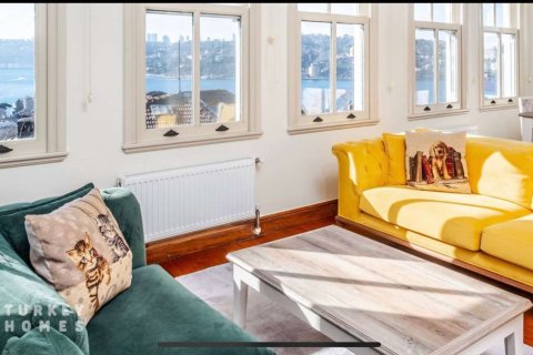4+1 Villa i Istanbul, istanbul, Turkiet Nr. 233369 - 6