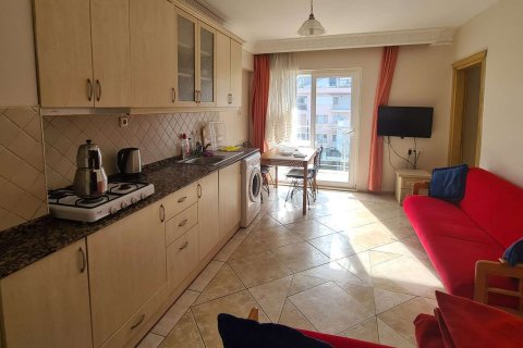 3+1 Wohnung  in Didim, Aydin, Türkei Nr. 233372 - 4