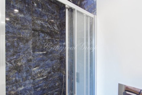 2+1 Wohnung in Bodrum, Mugla, Türkei Nr. 225149 - 21