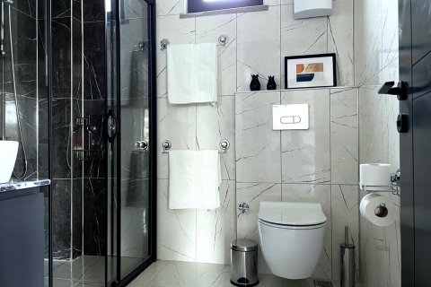 Daire  1+1  Alanya, Antalya, Türkiye №216984 - 10