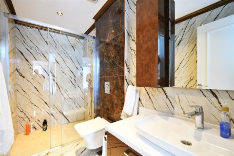 4+1 Leilighet i Kestel, Antalya, Tyrkia Nr. 227071 - 28